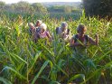 2014-09-15 19-12-48 Retour a travers les mais MBo